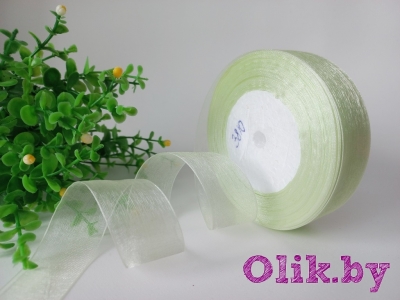 Лента органза 2,5 см*8 м, мятный