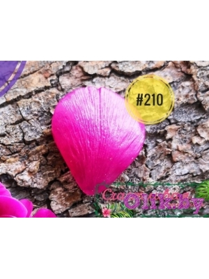 Молд лепесток ранункулюса, пиона, (4,2 * 4,8см) , арт.210