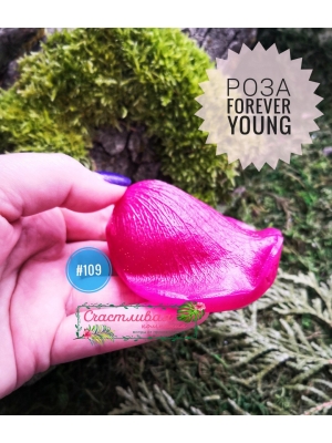 Молд лепесток розы " Forever young"  (7*7см), арт.109