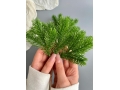 Ветка елки средняя 45 см, 1 шт