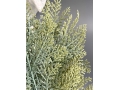 Ветка туи (зеленый) 28 см, 10 шт