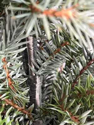 Елка новогодняя литая, 60 см, голубая ель, 1 шт