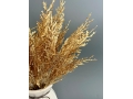 Ветка в букете водоросль мерцающая 5 веток, 37 см, золото