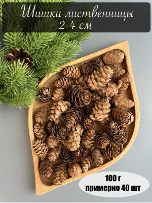 Шишки лиственницы 2-4 см, 100 г (примерно 40 шт)
