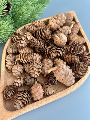 Шишки лиственницы 2-4 см, 100 г (примерно 40 шт)