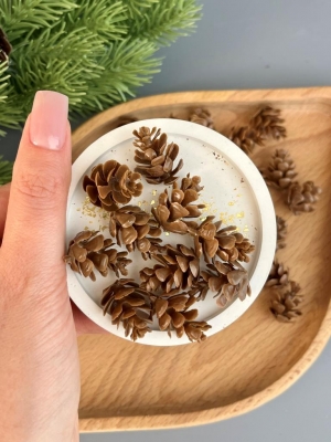 Шишка пластиковая малая (диаметр-1,5см, длина-2 см), 50 шт