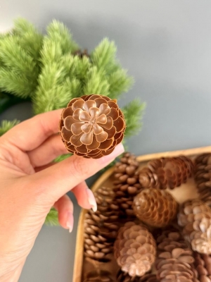 Шишка пластиковая крупная (диаметр-3,7см, длина-7,5 см), 10 шт