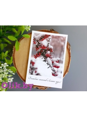 Фотокарточки №40, 300г/м2, 100х70мм, комплект 10 шт