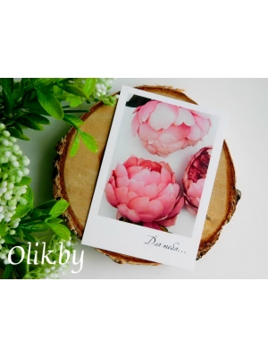 Фотокарточки №15, 300г/м2, 100х70мм, комплект 10 шт