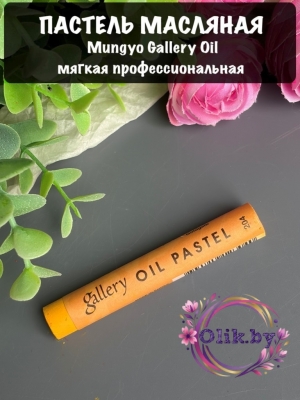 Пастель масляная Mungyo Gallery Oil мягкая професс., цвет № 204 Золотисто-желтый