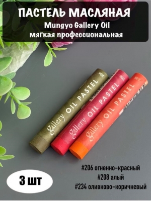 Набор пастель масляная Mungyo Gallery Oil мягкая професс., 3 шт