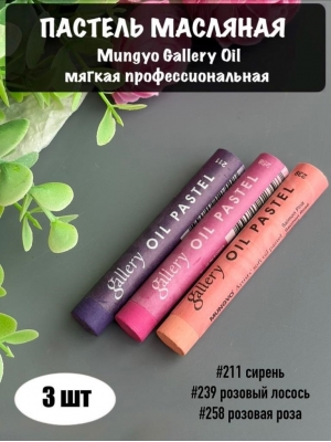 Набор пастель масляная Mungyo Gallery Oil мягкая професс., 3 шт