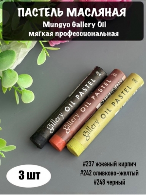 Набор пастель масляная Mungyo Gallery Oil мягкая професс., 3 шт