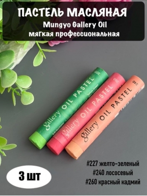 Набор пастель масляная Mungyo Gallery Oil мягкая професс., 3 шт
