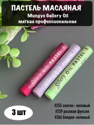 Набор пастель масляная Mungyo Gallery Oil мягкая професс., 3 шт