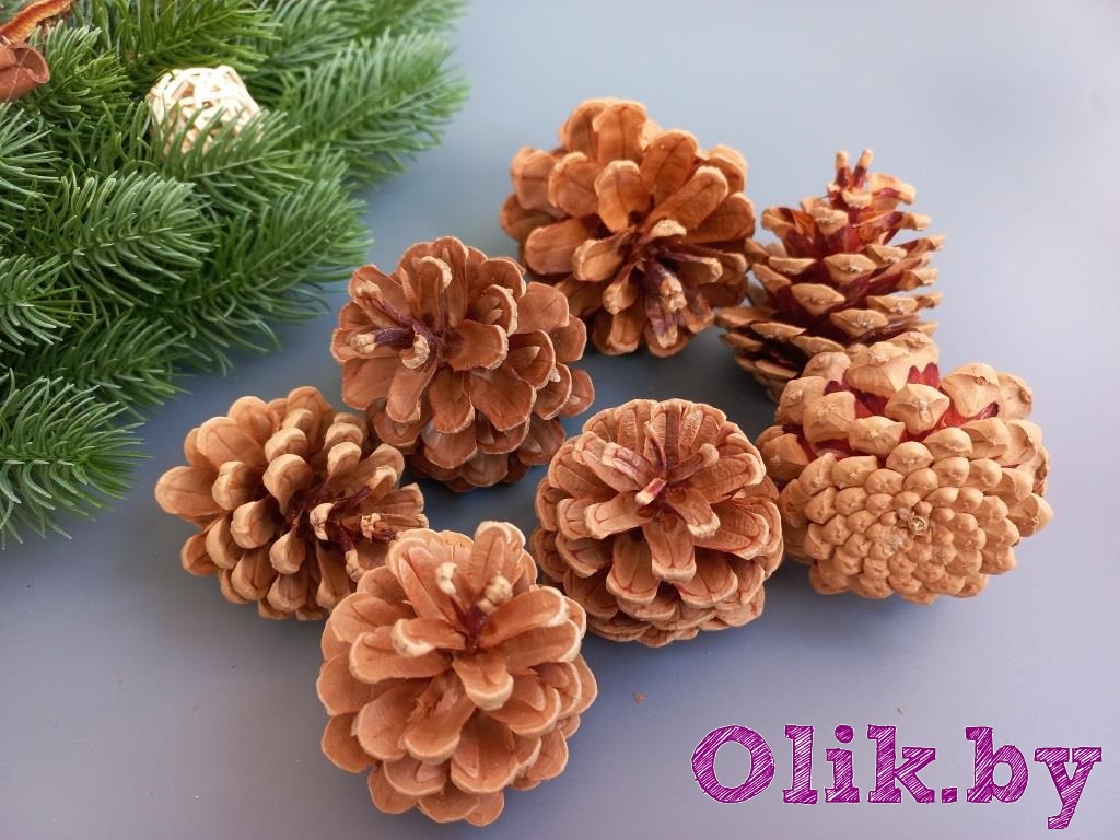 Шишки декоративные Pinus 4-8 см (5 шт)