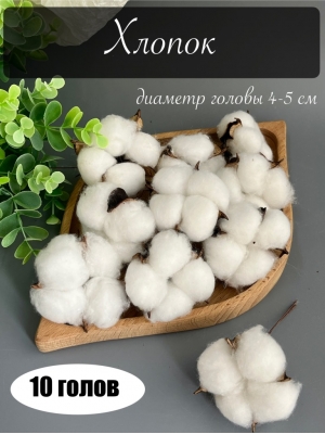 Голова хлопок, 10 шт
