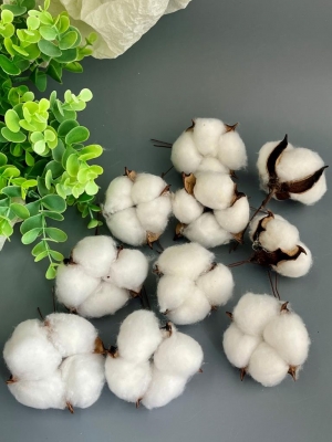 Голова хлопок, 10 шт