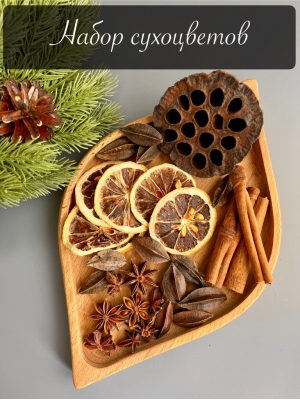 Набор сухоцветов для творчества (лотос, корица, анис, апельсин, кисквалис) №1