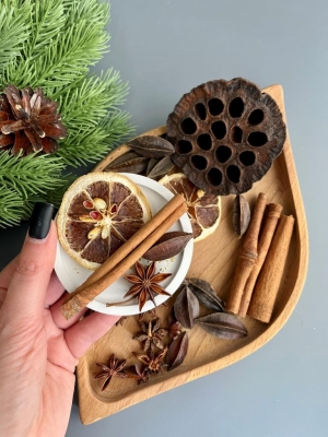 Набор сухоцветов для творчества (лотос, корица, анис, апельсин, кисквалис) №1