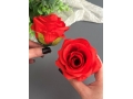 Головы бутоны роз, d-9 см, красный, 5 шт
