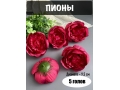 Головы пионов, d-9,5 см, темно-малиновый, 5 шт