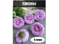 Головы пионов, d-9,5 см, нежно-фиолетовый, 5 шт