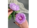 Головы пионов, d-9,5 см, нежно-фиолетовый, 5 шт