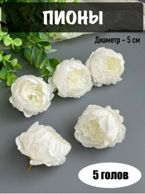 Головы пионов, d-5 см, белый, 5 шт
