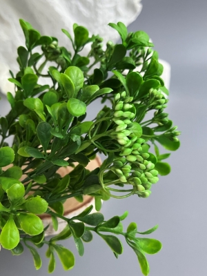 Букет зелени 7 веток, 31 см, зеленый