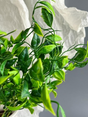 Букет зелени свисающий 5 веток (АРК), 42 см, зеленый комби