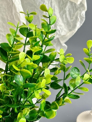 Букет брусничника 7 веток (КОЛЛЬА), 34 см, зеленый