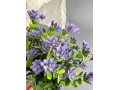Ветка в букете эвкалипт с цветами 5 веток, 34 см, фиолетовый
