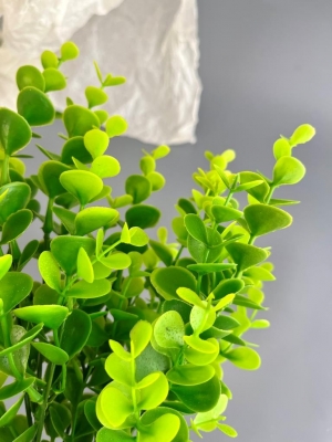 Букет зелени брусничник (РЮОМ), 33 см, зеленый