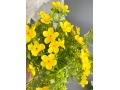 Ветка в букете с мелкими цветами 5 веток, 32 см (477), желтый