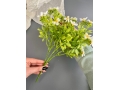 Ветка в букете с мелкими цветами 5 веток, 32 см (477), белый