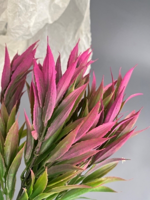 Букет зелени (СЕНОН), 37 см, сиреневый