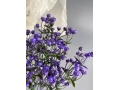 Ветка в букете гипсофила 5 веток, 32 см, фиолетовый
