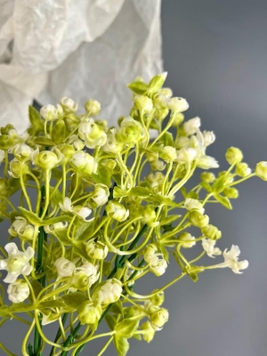 Ветка в букете гипсофила 5 веток, 32 см, белый