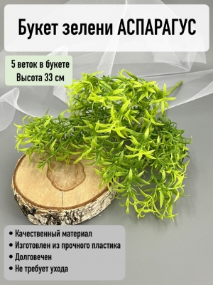 Букет аспарагус 5 веток (АЗИЛЬ), 33 см, темно-зеленый