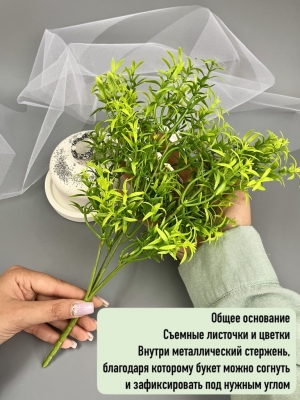 Букет аспарагус 5 веток (АЗИЛЬ), 33 см, темно-зеленый