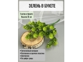 Ветка в букете зелени 5 веток, 32 см, зеленый