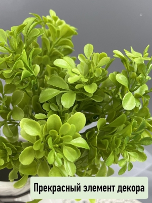 Букет водоросли 7 веток (ФИЖАК), 31 см, зеленый