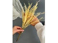 Ветка в букете пшеница 42 см, 1 шт