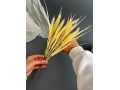 Ветка в букете пшеница 38 см, 1 шт