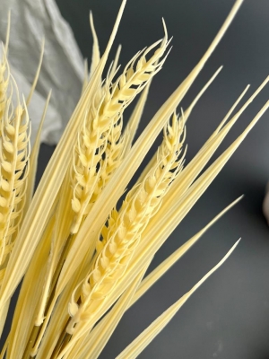 Ветка в букете пшеница 38 см, 1 шт