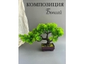 Композиция бонсай в горшке зеленый