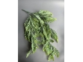 Ветка зелени свисающая 5 веток 80 см, зеленый