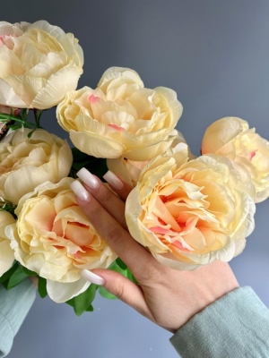 Букет пионов 9 голов (ПОЛСВОРТ), 50 см, персиковый