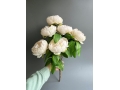 Ветка в букете пион бутоном 6 голов, 47 см, белый